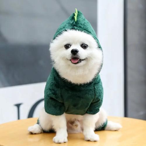 Ropa Ropita Para Mascota Bebe Perro Cachorro Gato Disfraz 11