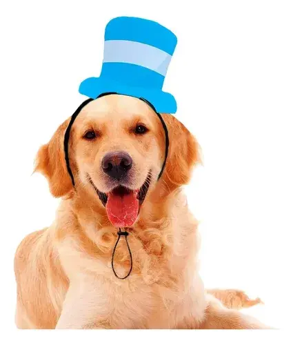 Dúo Vinchas Para Perros Gatos Vos Y Tu Mascota Argentina Color Modelo Bandera 5