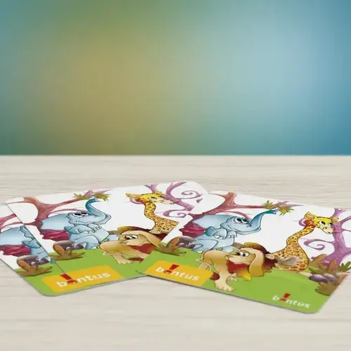 Animales Escondidos Bontus Juego +4 Años 4