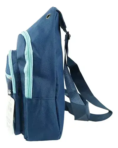 Bolso Morral Bandolera Riñonera Afa Argentina Reforzado Fach Azul Afa 2