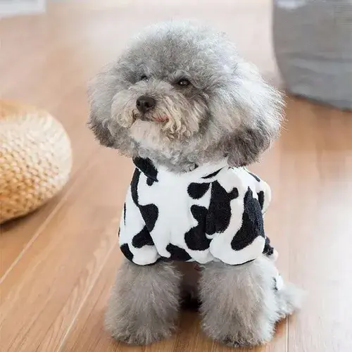 Ropa Ropita Para Mascota Bebe Perro Cachorro Gato Disfraz 6