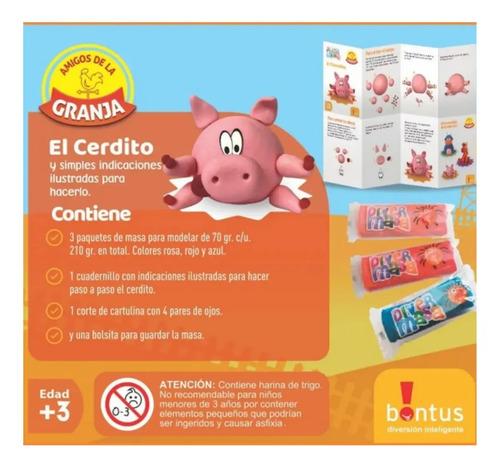Juego De Masas Plastilina Diver Masa Cerdito 210gr Bontus 4
