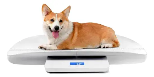 Báscula Digital Mindpet-med Para Bebés Y Mascotas 100 Kg Blanco