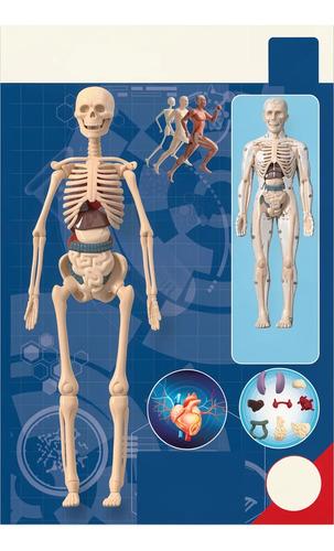 El Cuerpo Humano Juego De Ciencias Experimentos Antex Infant